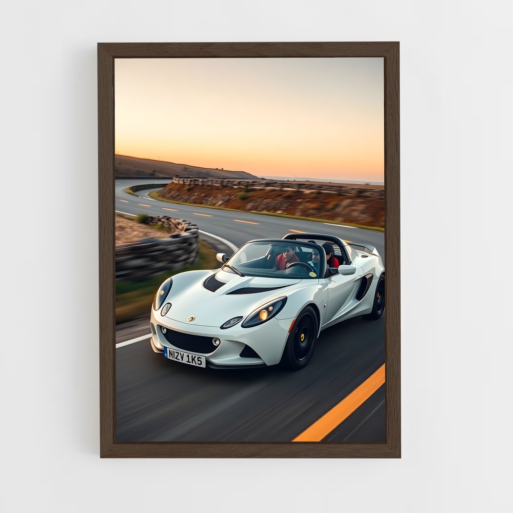 ap-elise sport-2 cadre Bois foncé