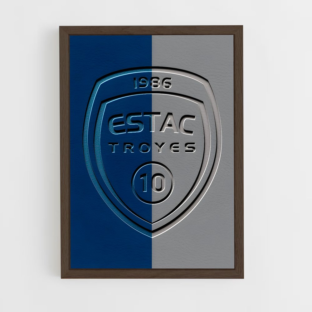 ap-estac troyes-3 cadre Bois foncé