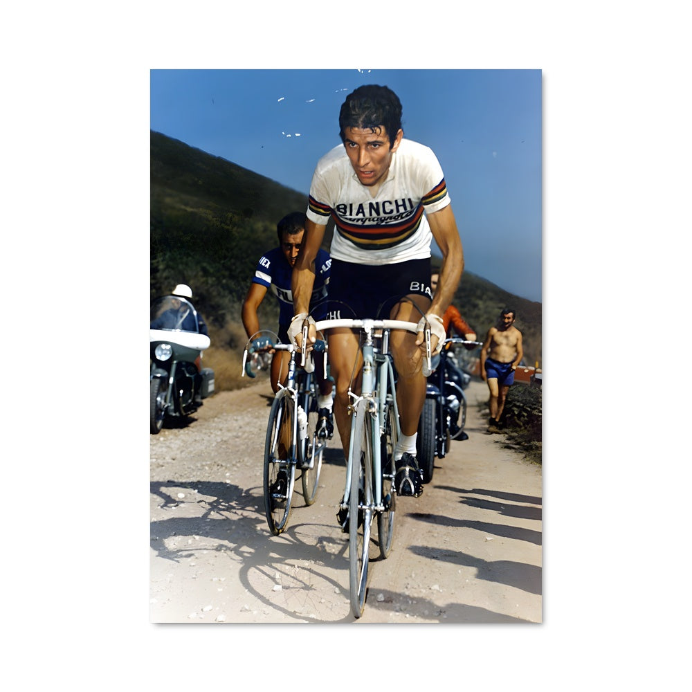 Poster Felice gimondi 65184
