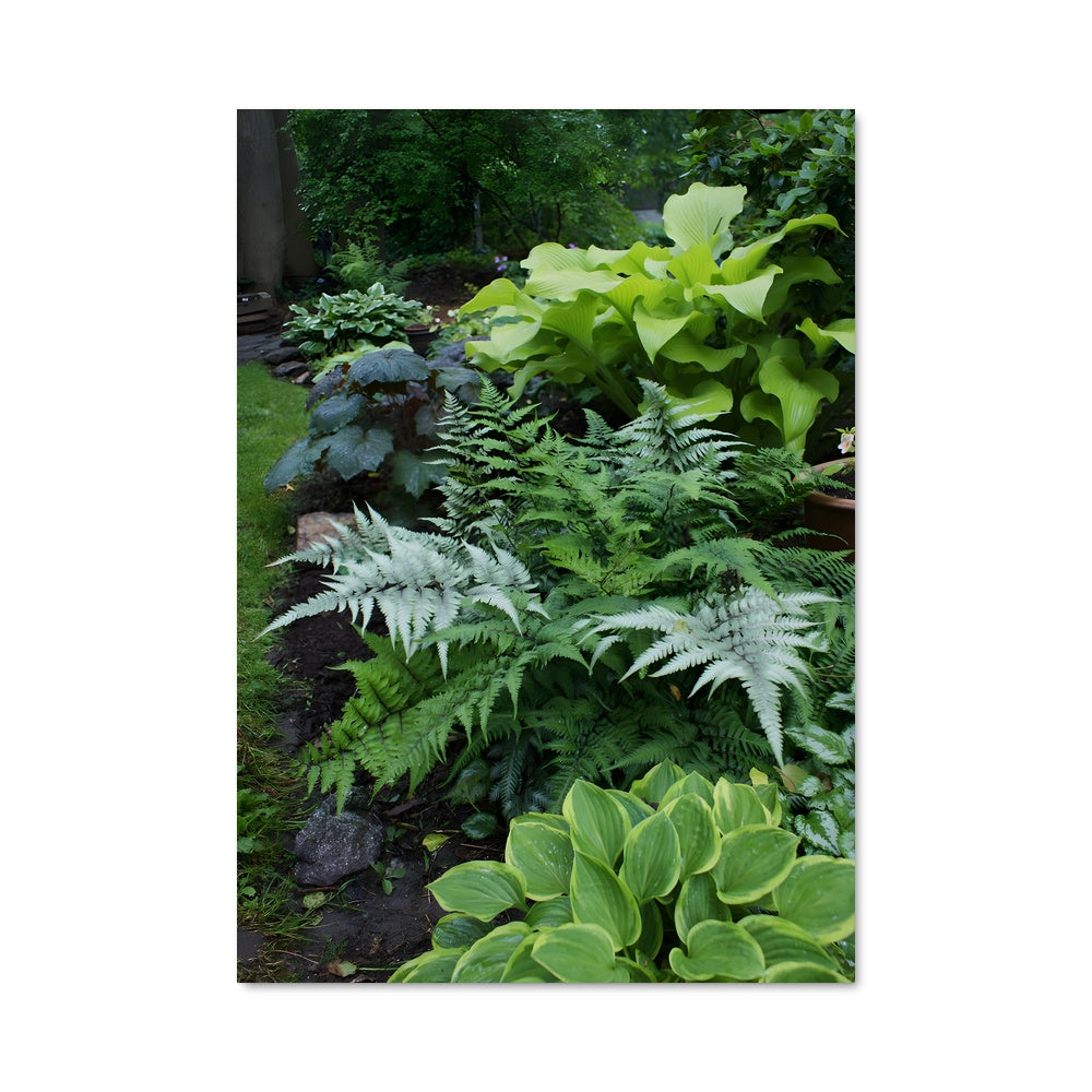 Poster Jardin de Fougères