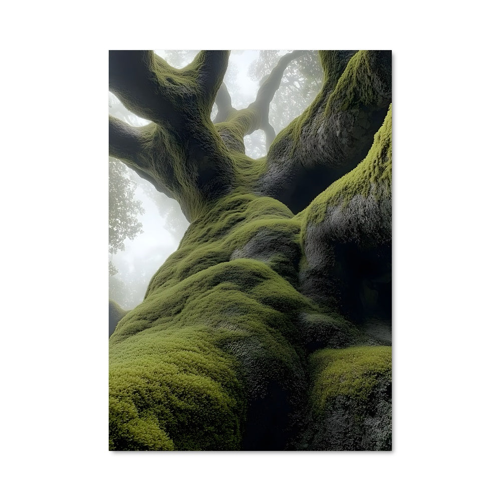 Poster Forest moss 96908