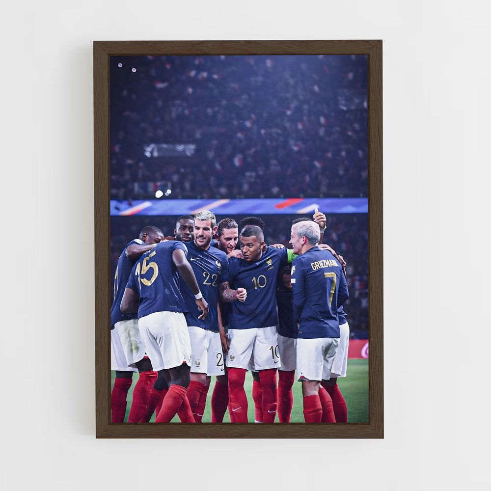 ap-france 24-1 cadre Bois foncé