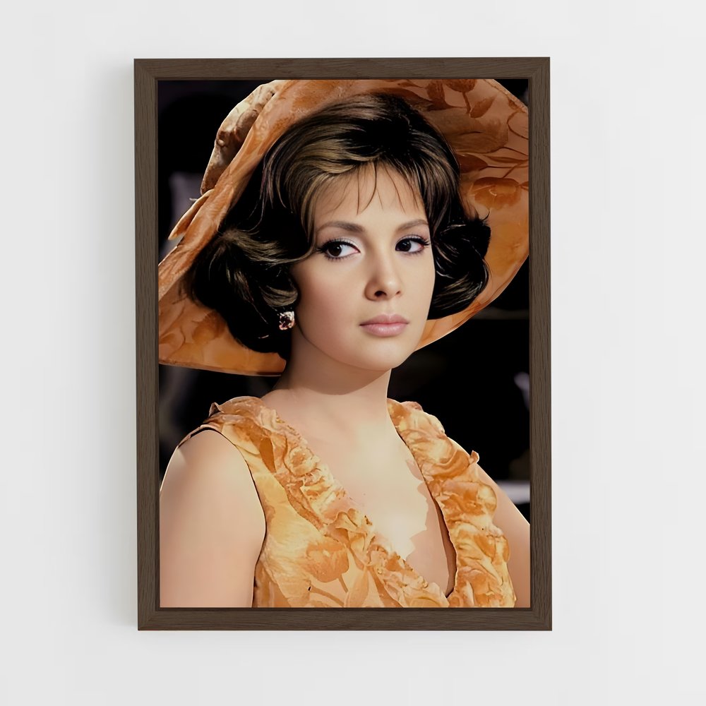 ap-gina lollobrigida-4 cadre Bois foncé