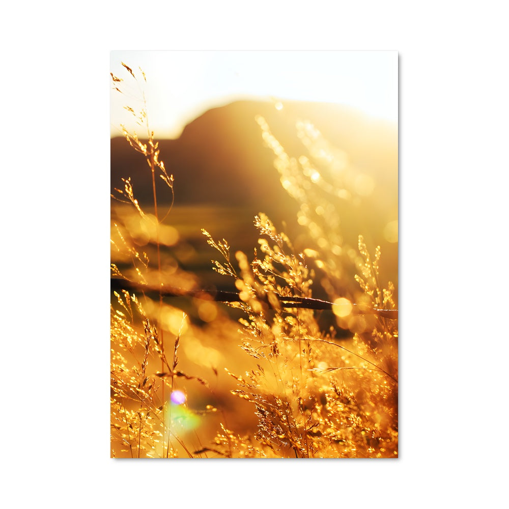 Poster Golden hour 97852