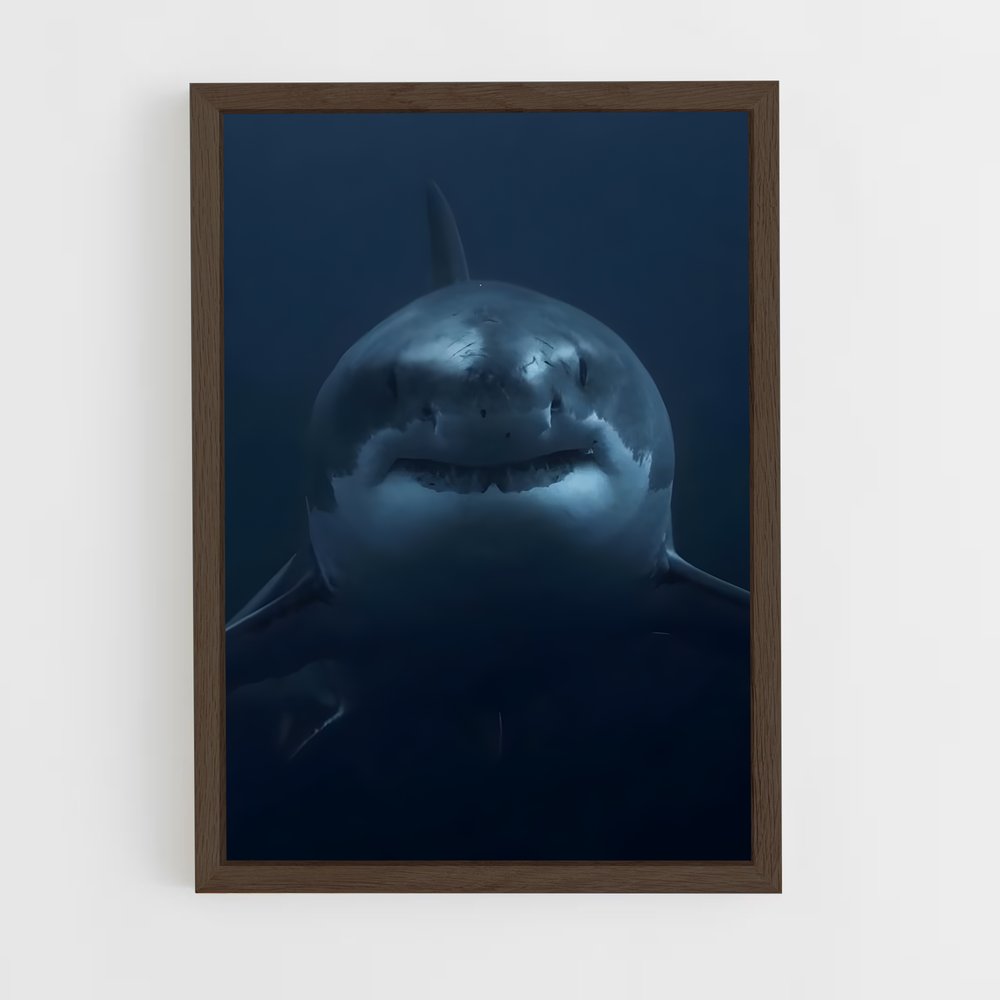 ap-great white shark encounters-1 cadre Bois foncé