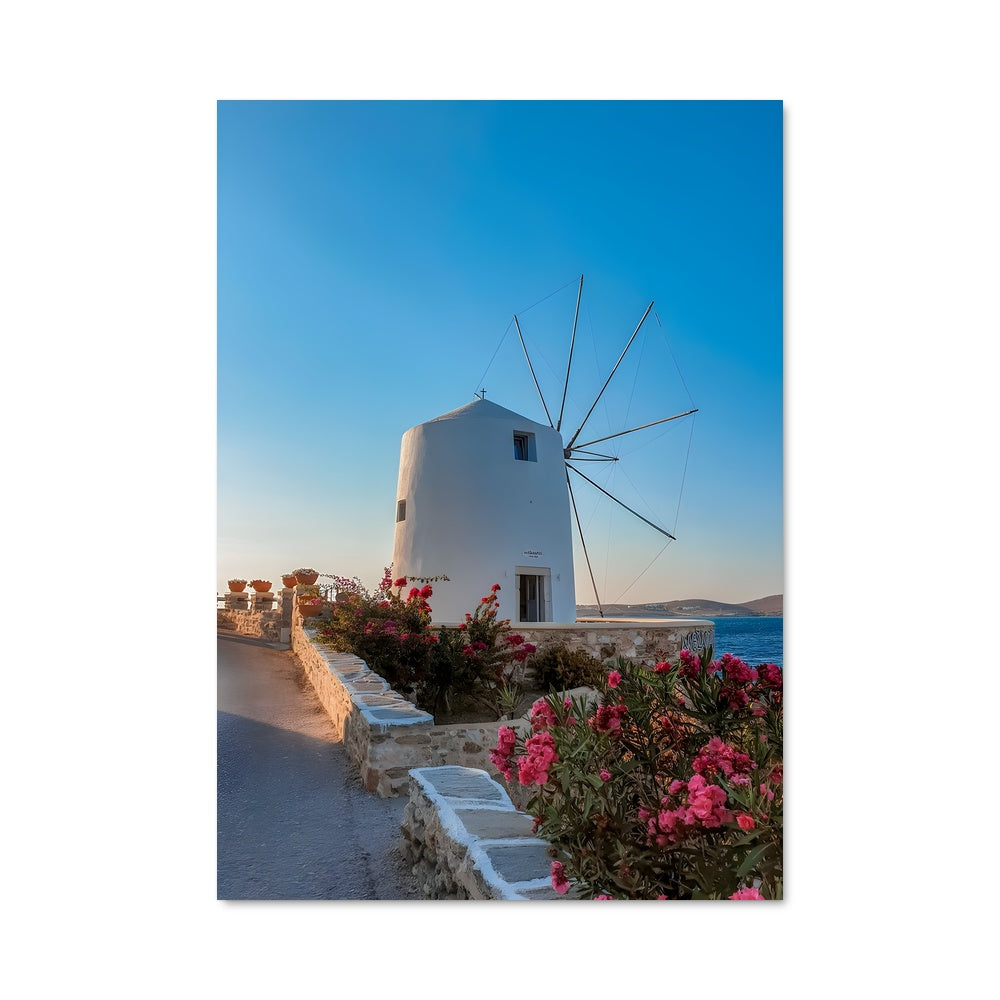 Poster Moulins en Fleurs