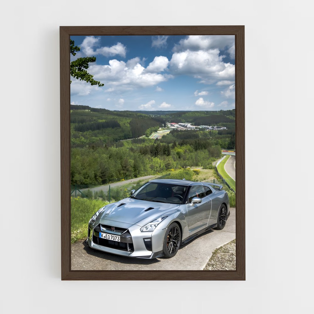 ap-gt-r track edition-1 cadre Bois foncé