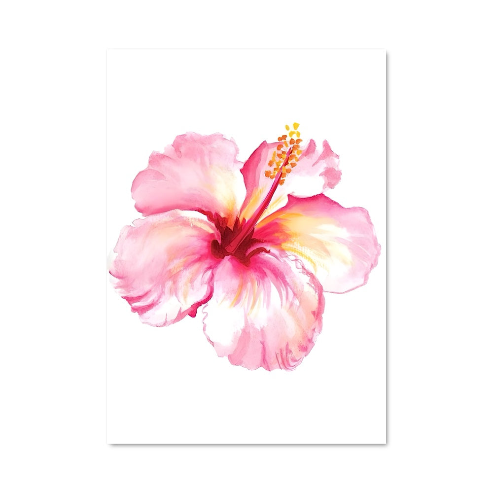 Poster Hibiscus 96570