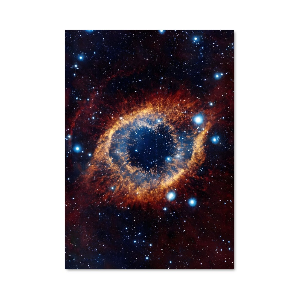 Poster La Nébuleuse de la Vie