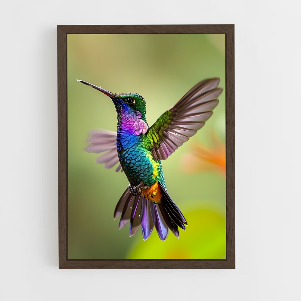 ap-hummingbird-7 cadre Bois foncé