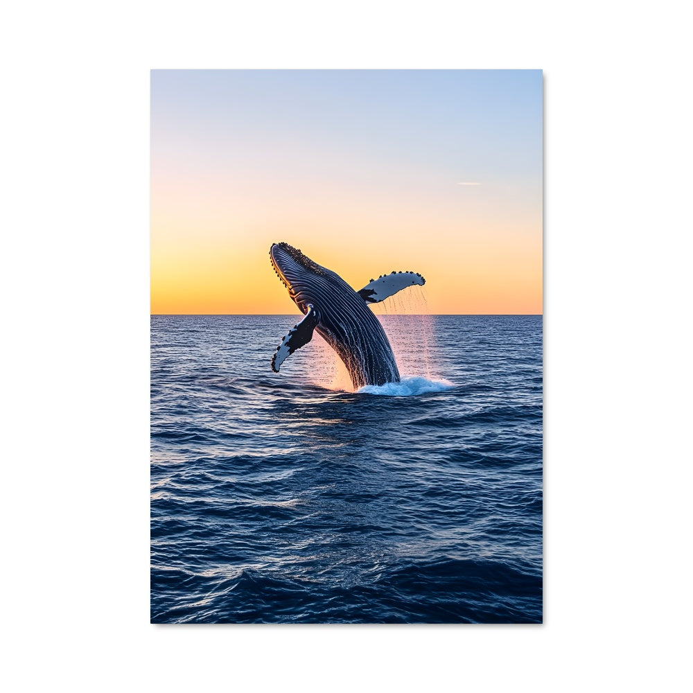 Poster Humpback whale 83768
