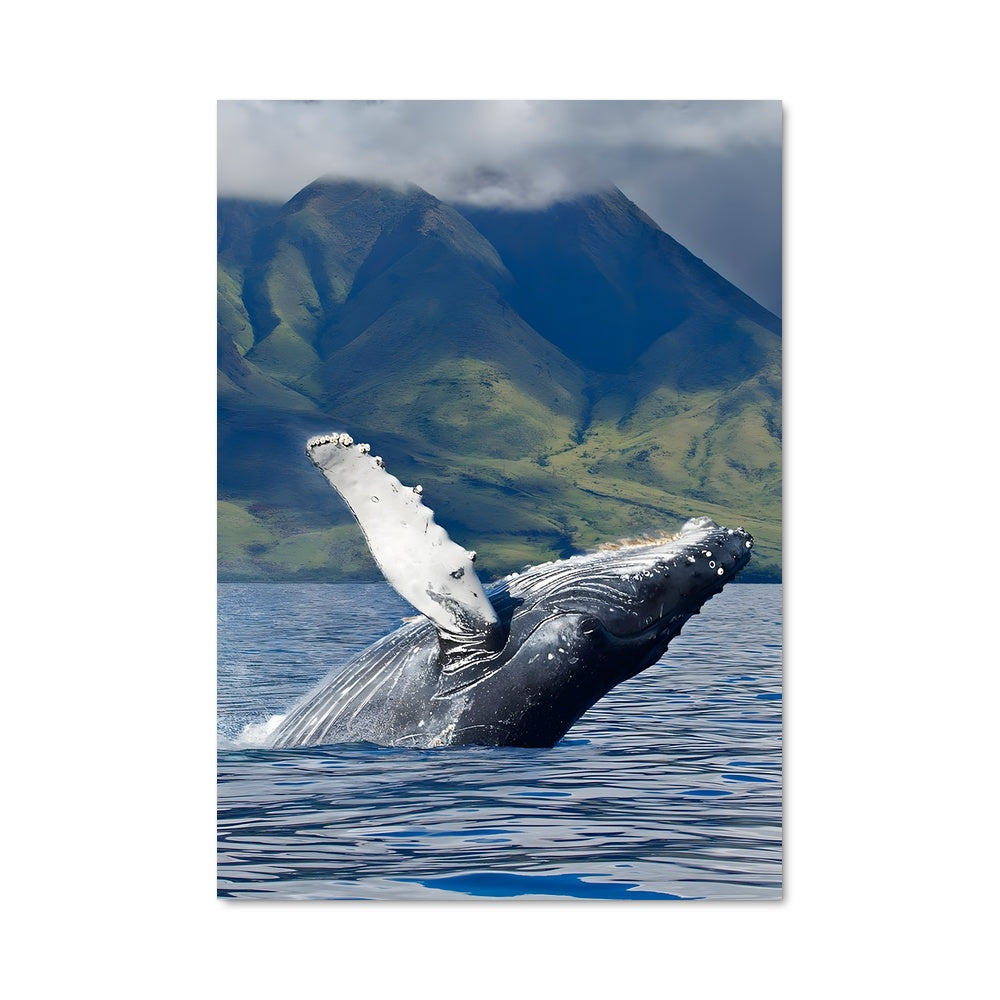 Poster Éruption Cétacée