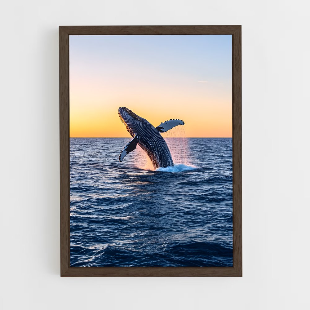 ap-humpback whale-3 cadre Bois foncé