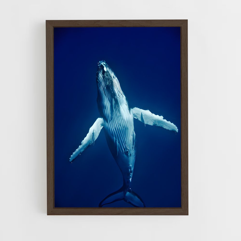 ap-humpback whale-5 cadre Bois foncé