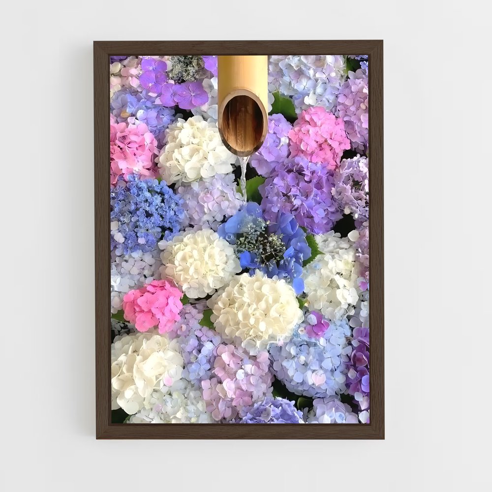 ap-hydrangea-8 cadre Bois foncé