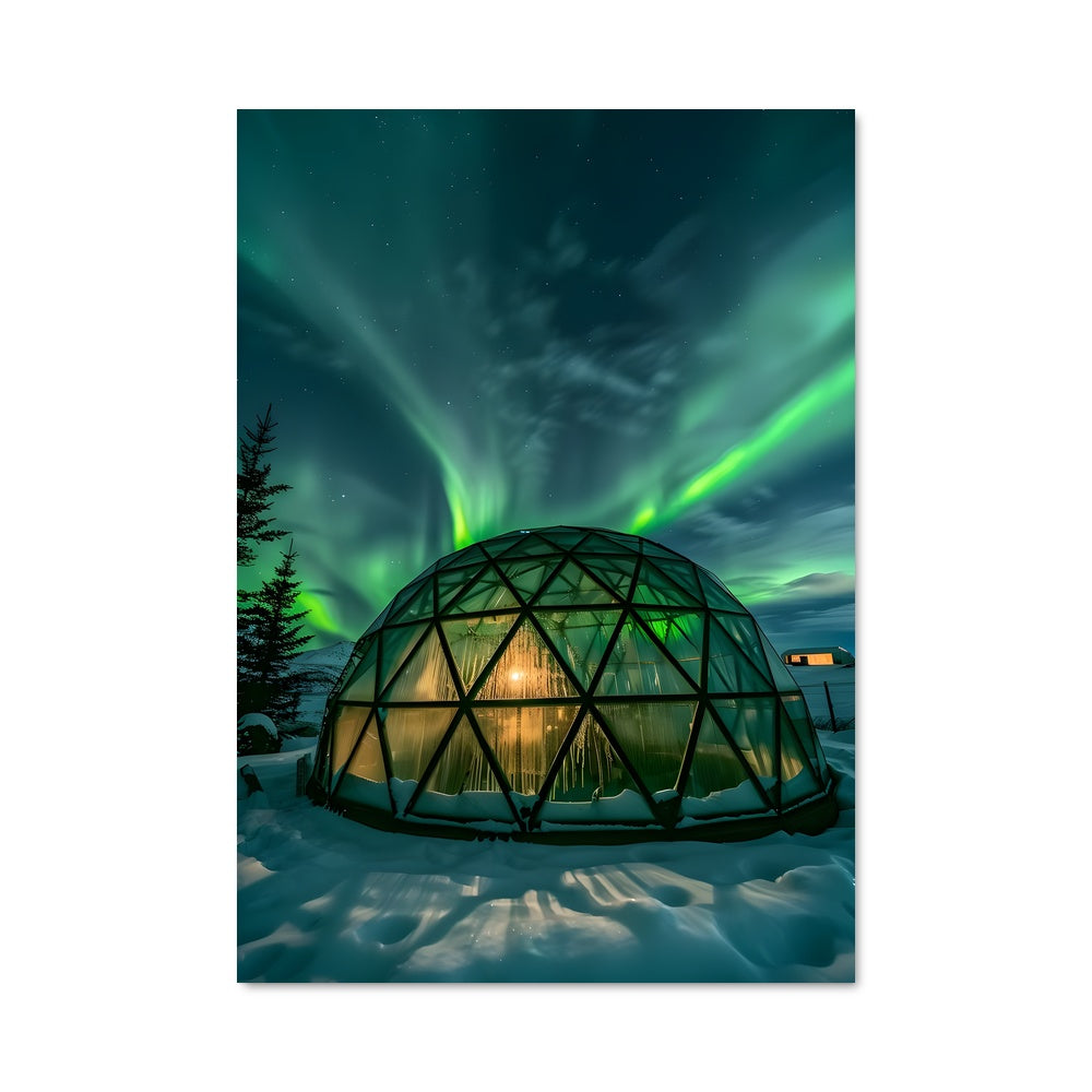 Poster Danse Polaire