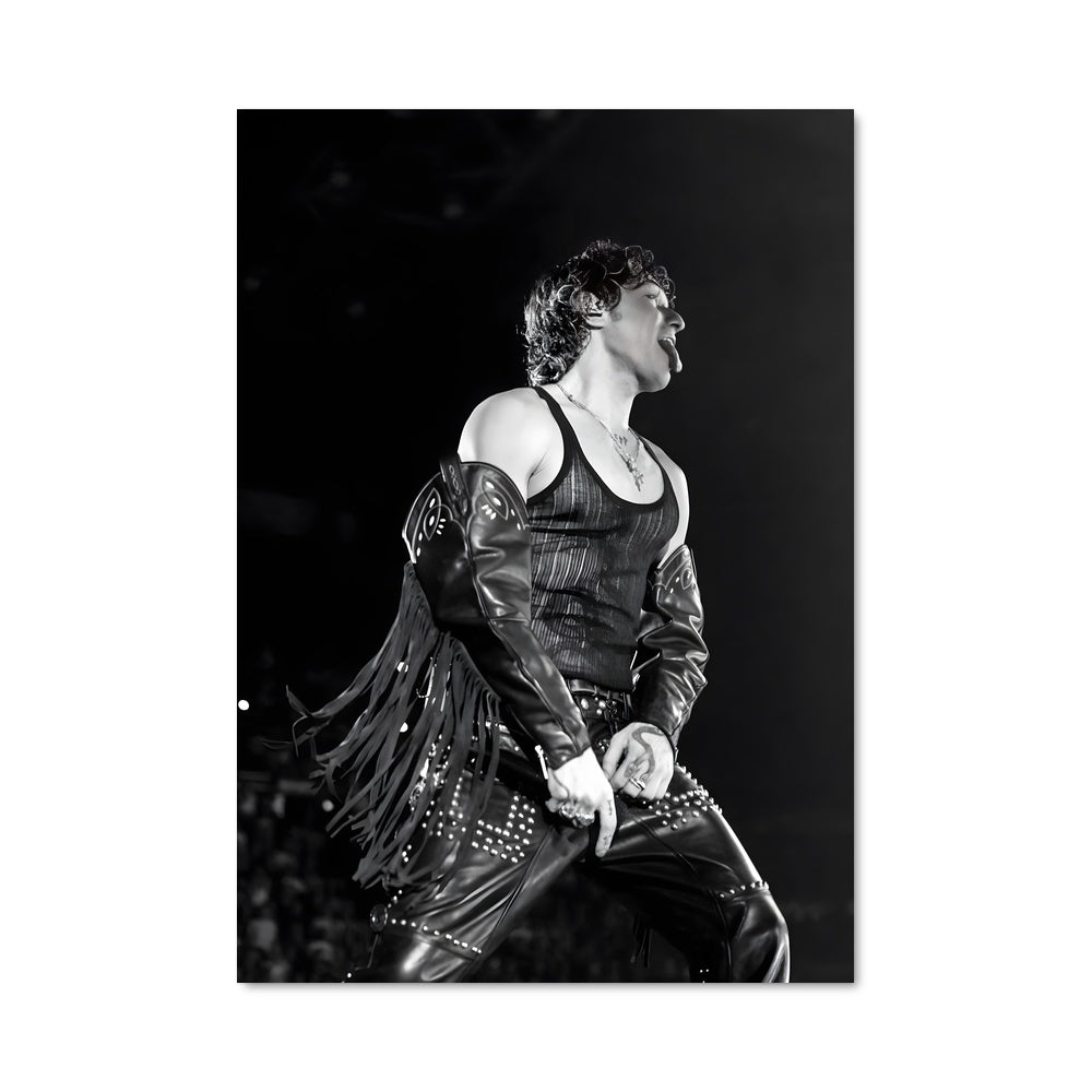 Poster Prince au MTV Concert