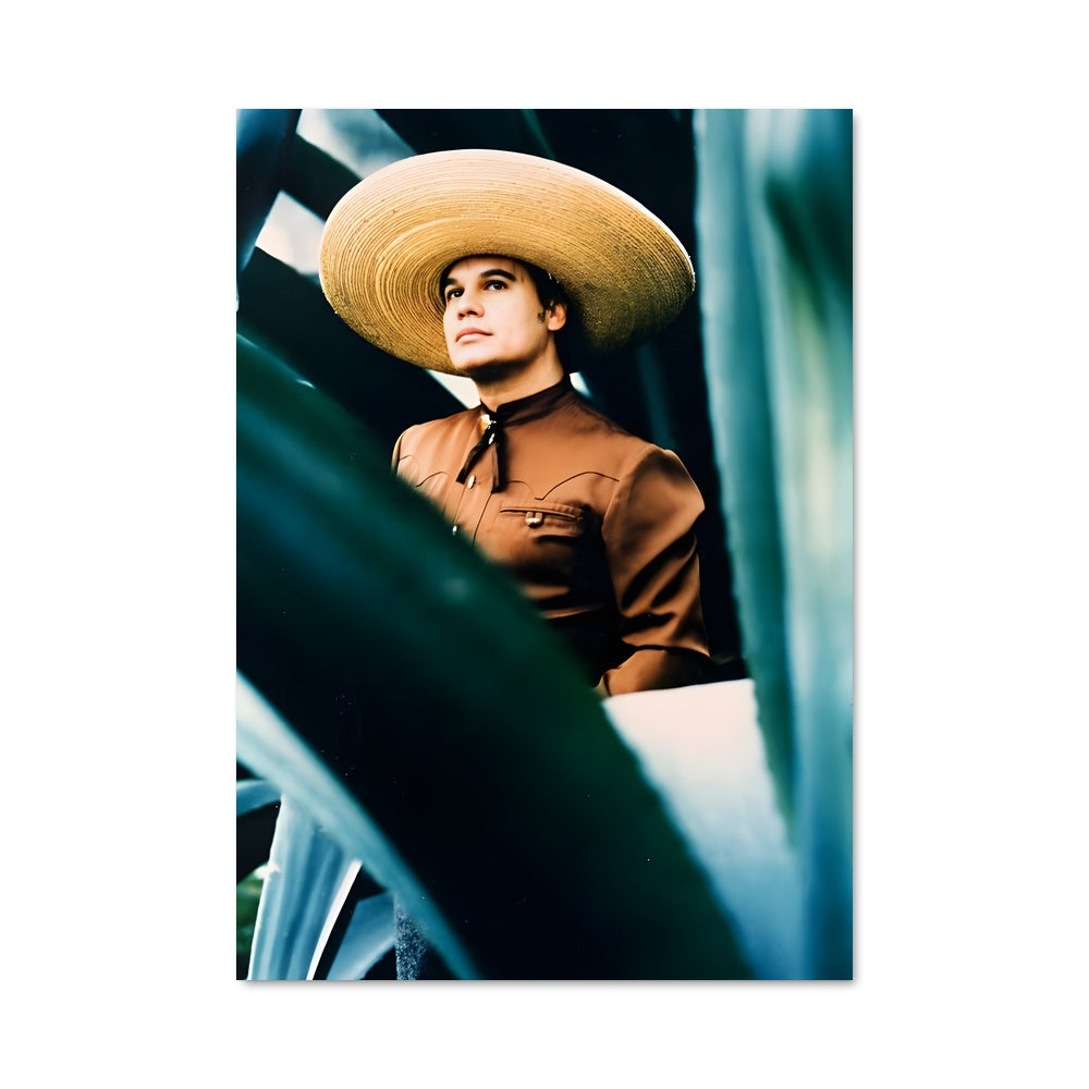 Poster La Femme au Chapeau