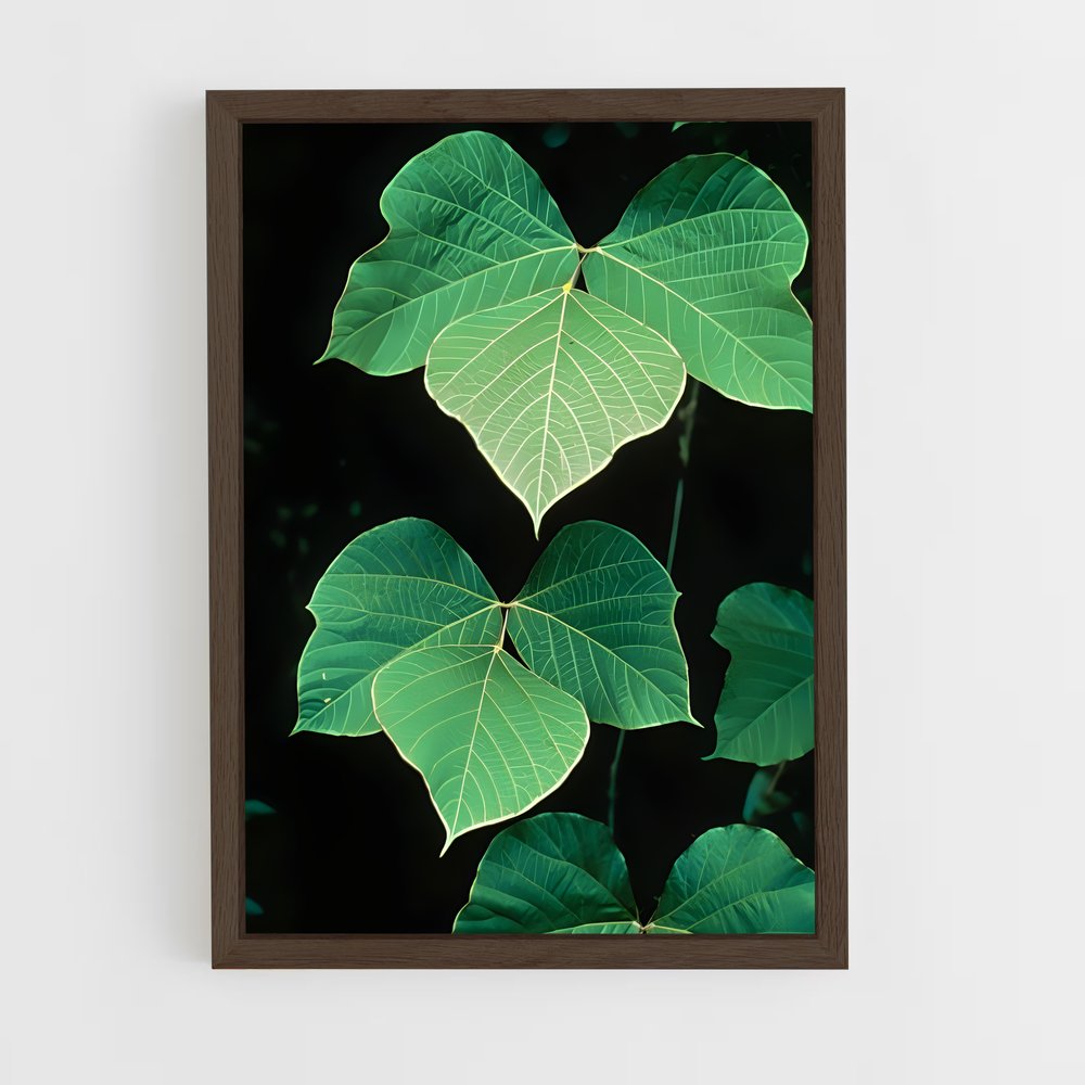 ap-kudzu-4 cadre Bois foncé