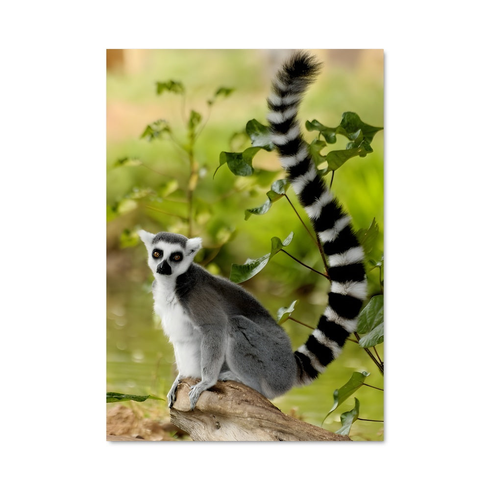 Poster Lemurland