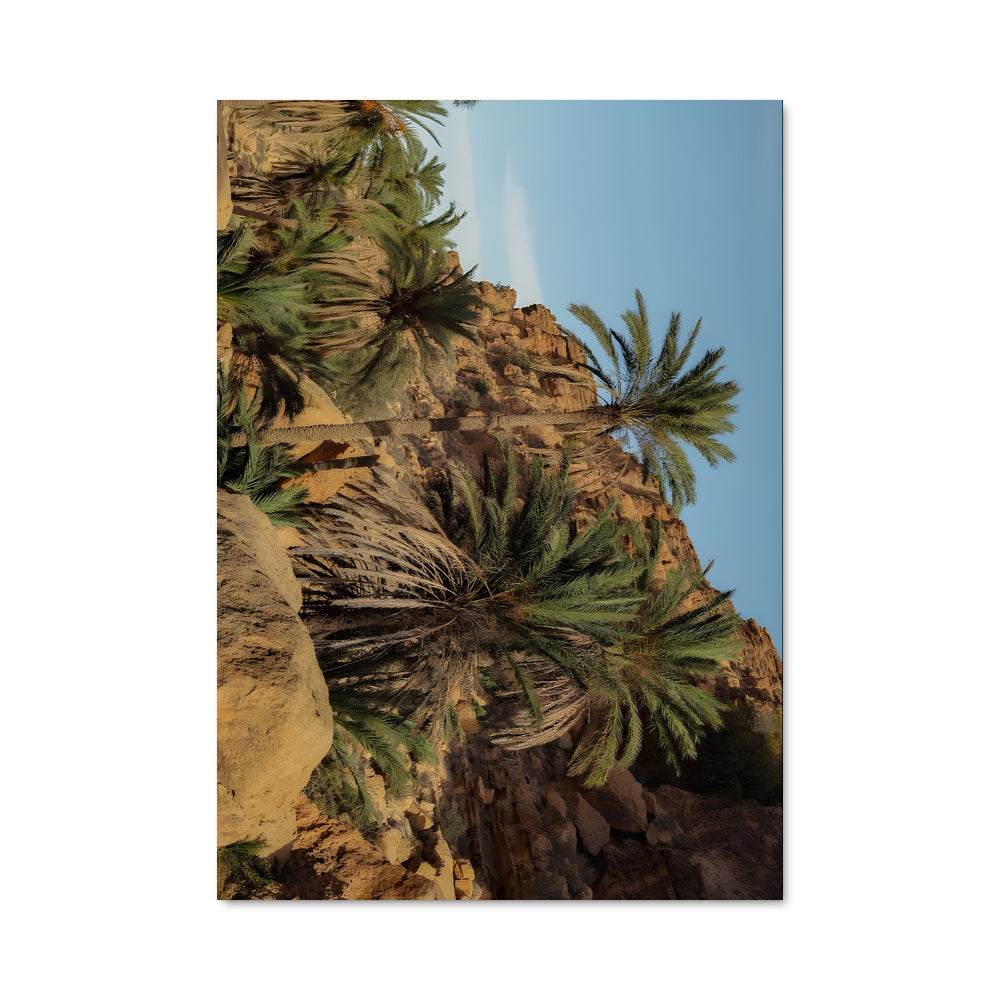 Poster Oasis Montagnard