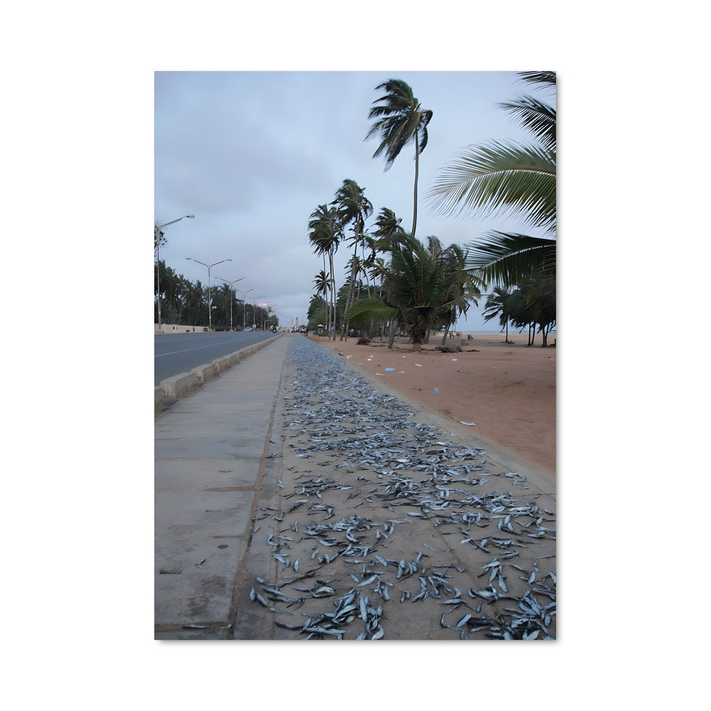 Poster Les Poissons Morts