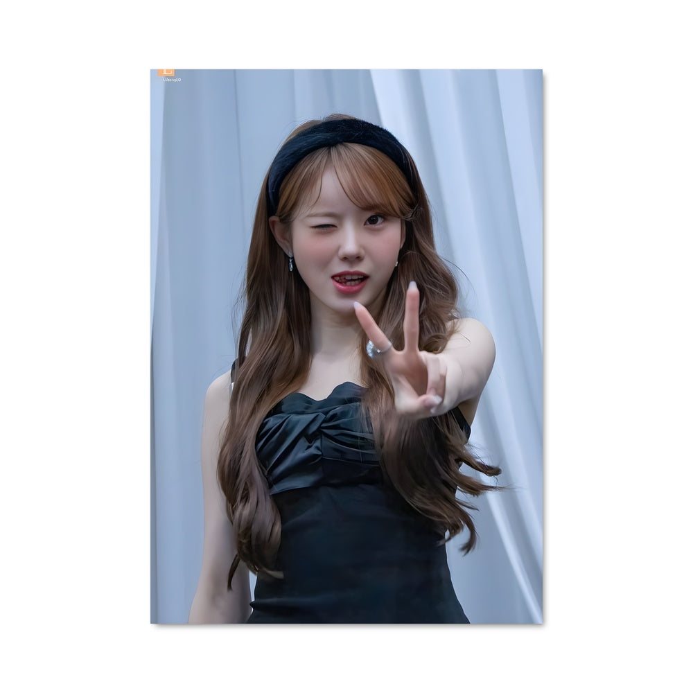Poster Luda 49982