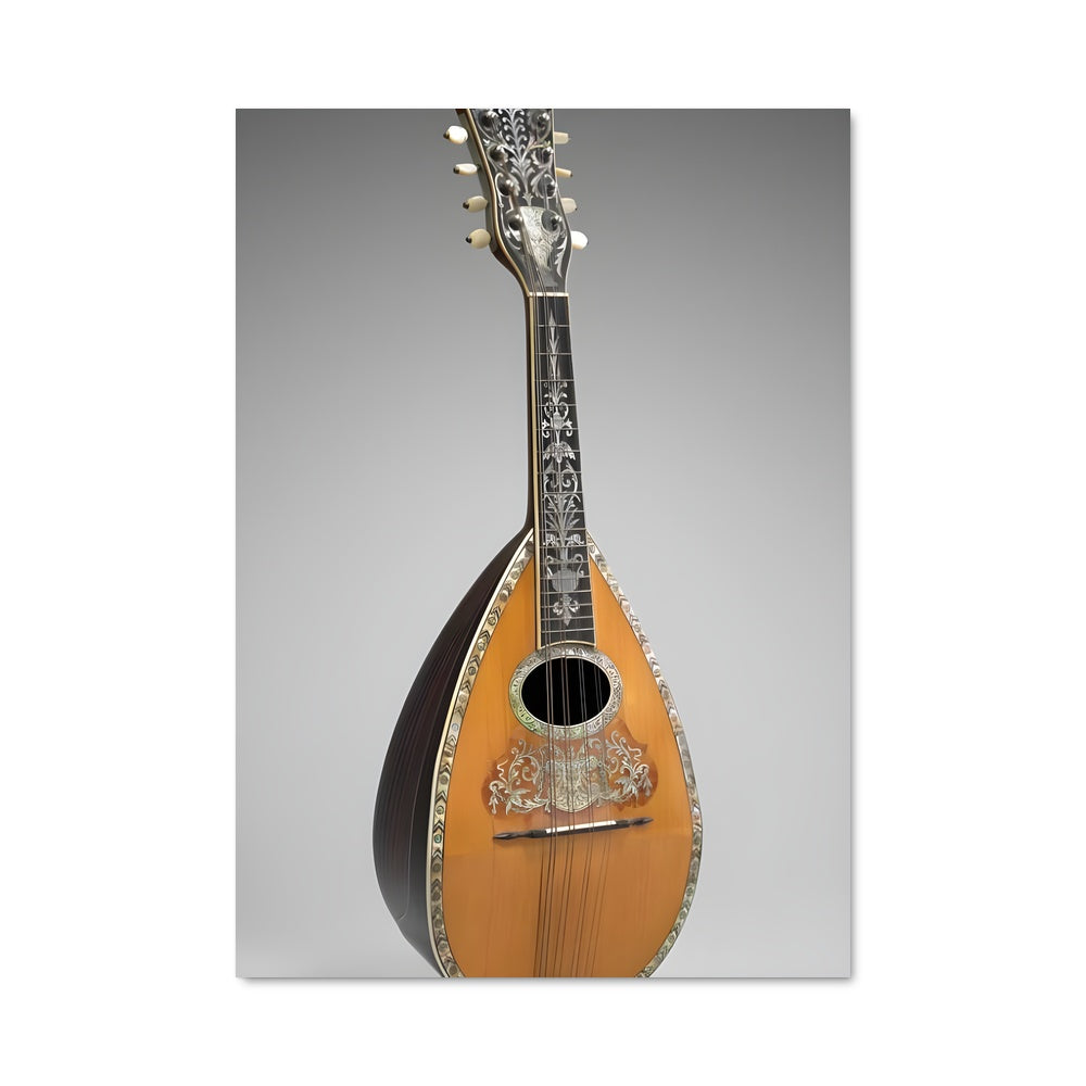 Poster Éclat Mandolin