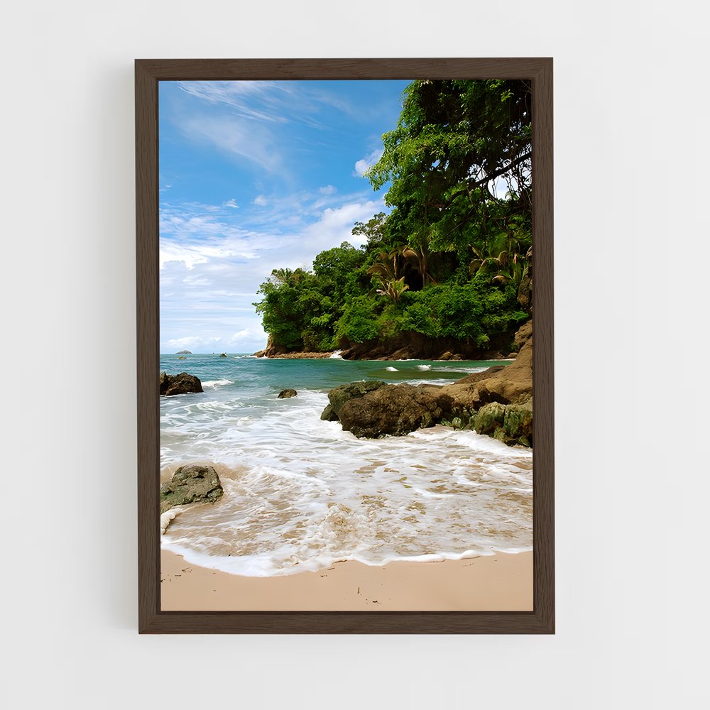 ap-manuel antonio beach-5 cadre Bois foncé