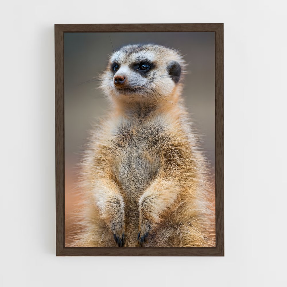 ap-meerkat-10 cadre Bois foncé