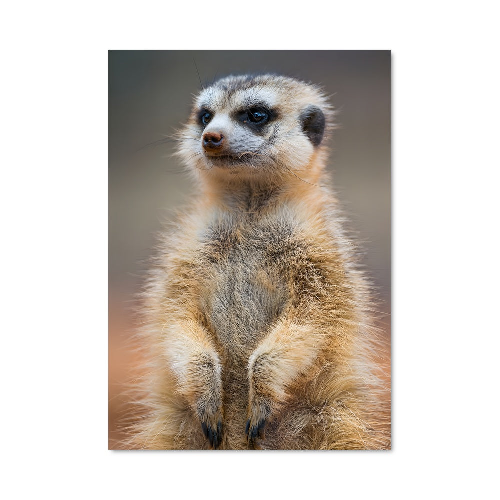 Poster Sentinelle des Savanes