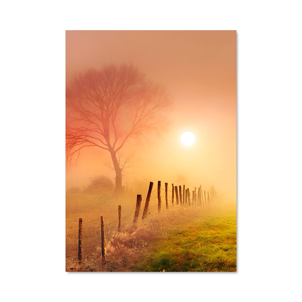 Poster Brume Envoûtante