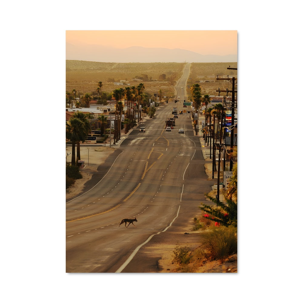 Poster Route du Mojave