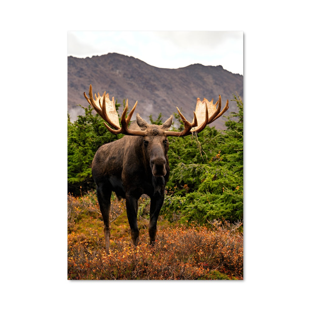 Poster Le Grand Élan