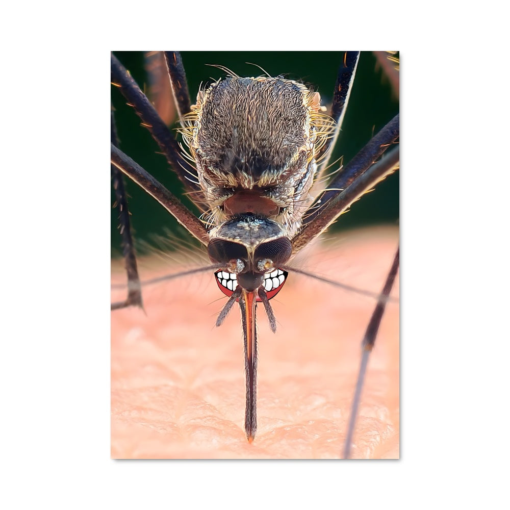 Poster Morsure de Sang