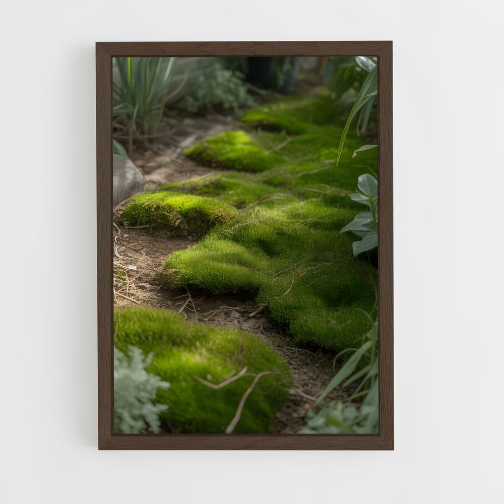 ap-moss-5 cadre Bois foncé