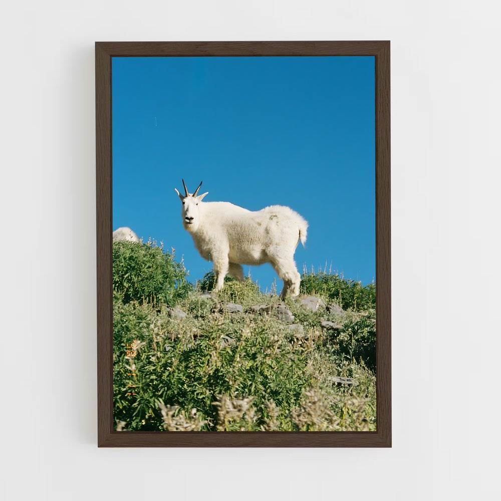ap-mountain goat-9 cadre Bois foncé