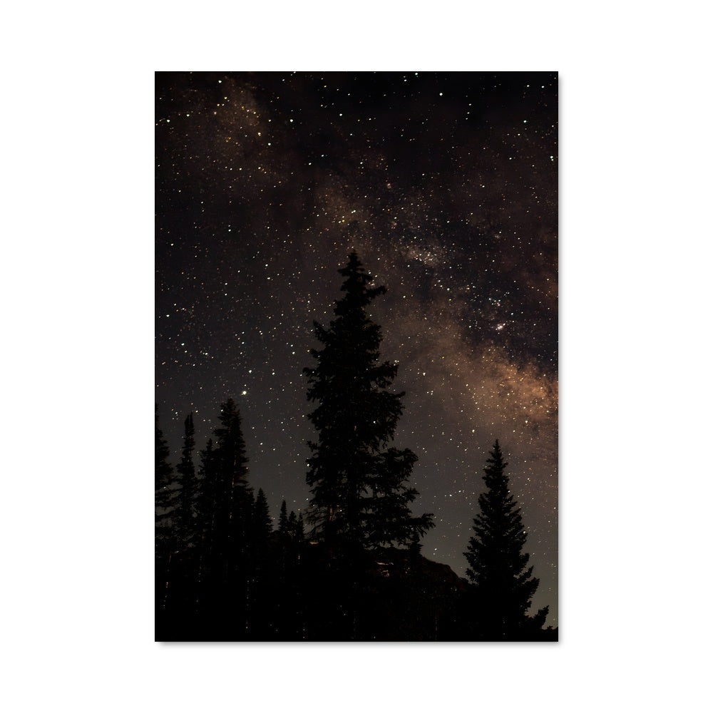 Poster Voie Lactée entre les Arbres
