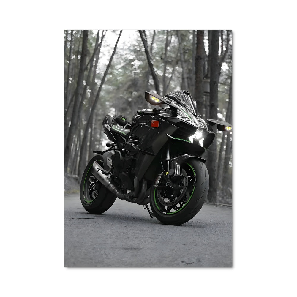 Poster Ninja h2r 82402
