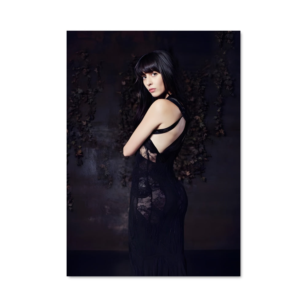 Poster Nolwenn leroy 52168