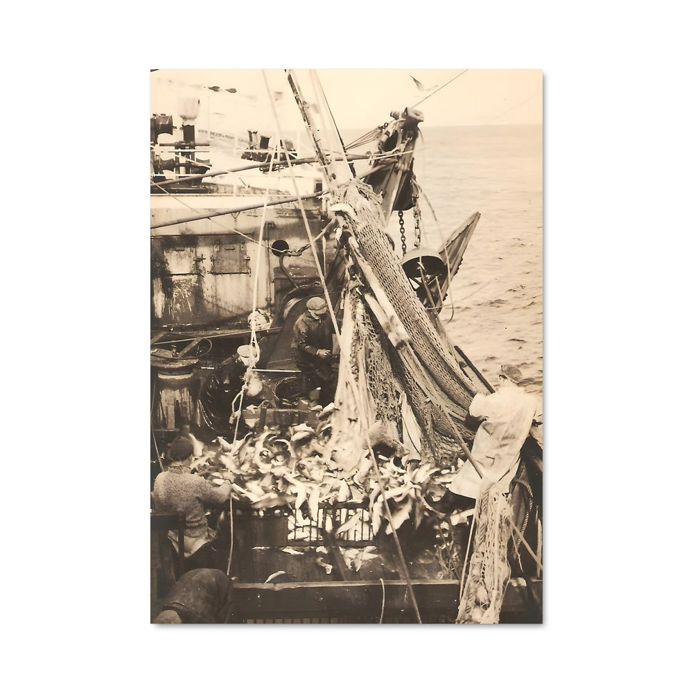 Poster La Capture Maritime