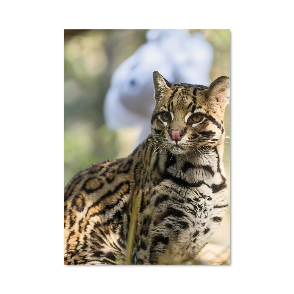 Poster Ocelot en hauteur