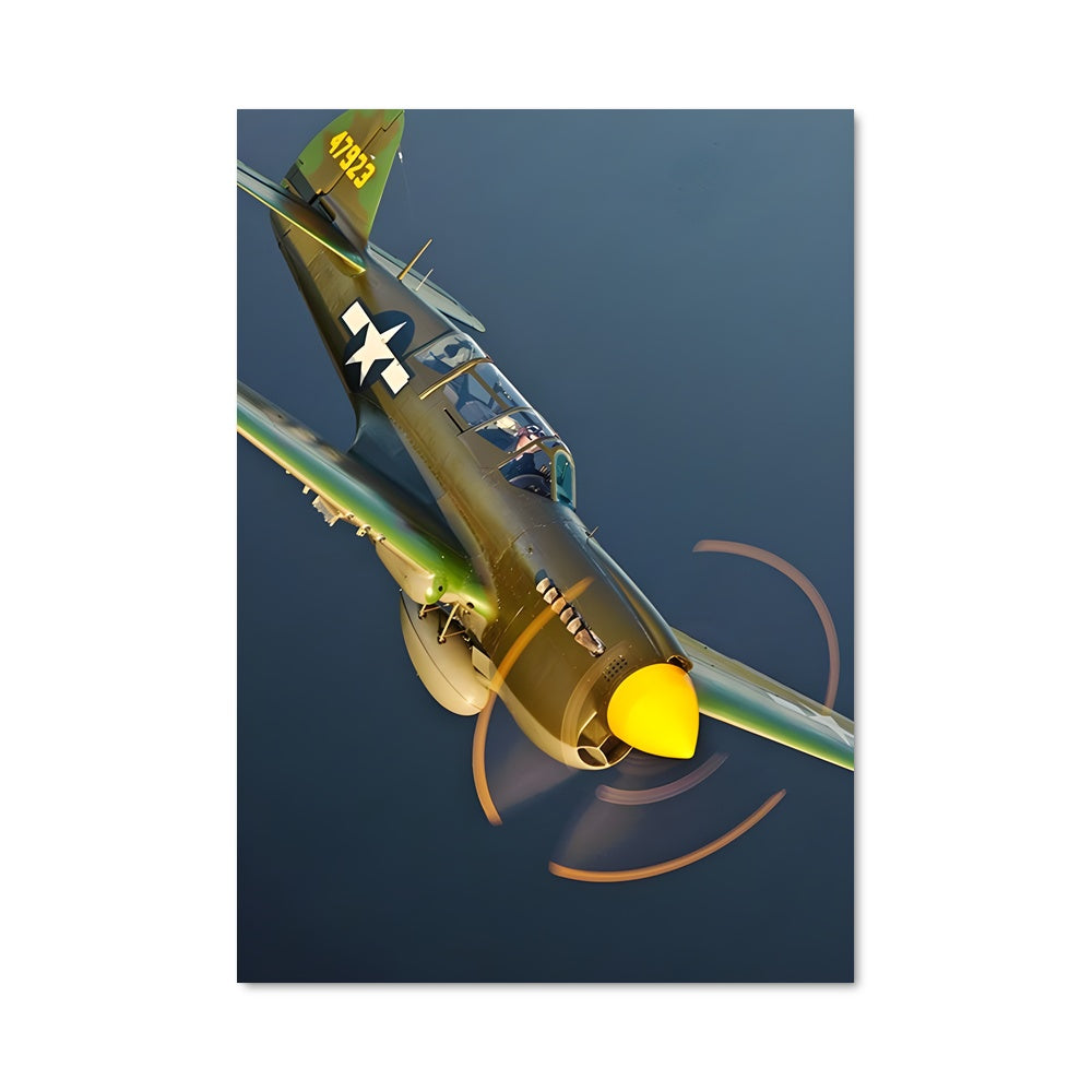 Poster Vol au-dessus des Eaux