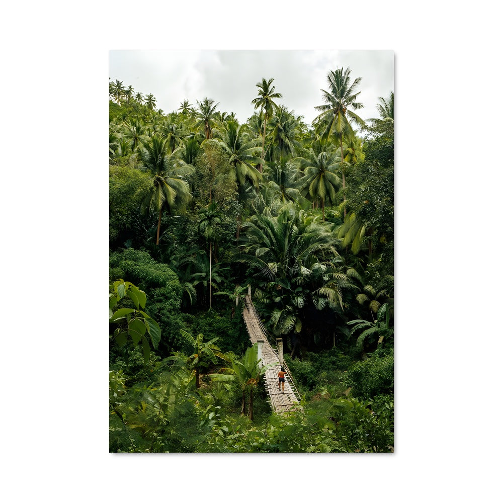 Poster Pont de Jungle