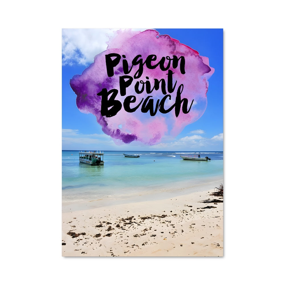 Poster Pigeon point 93104