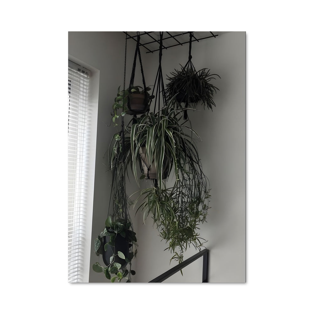 Poster Verdure Suspendue