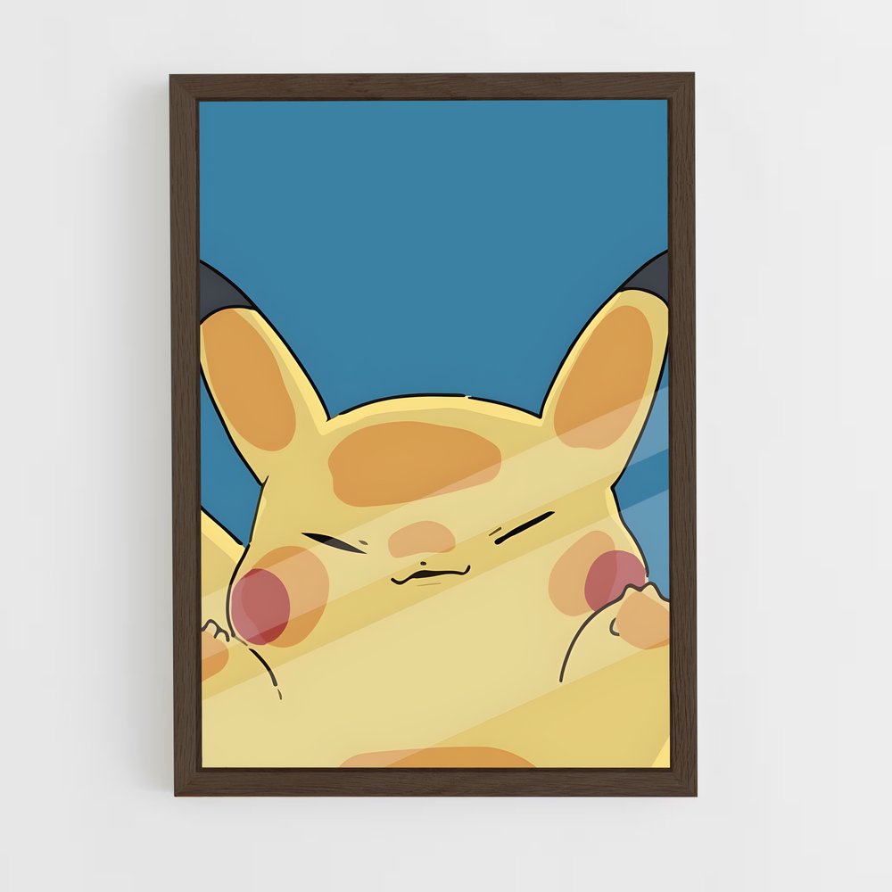 ap-pokemon-16 cadre Bois foncé