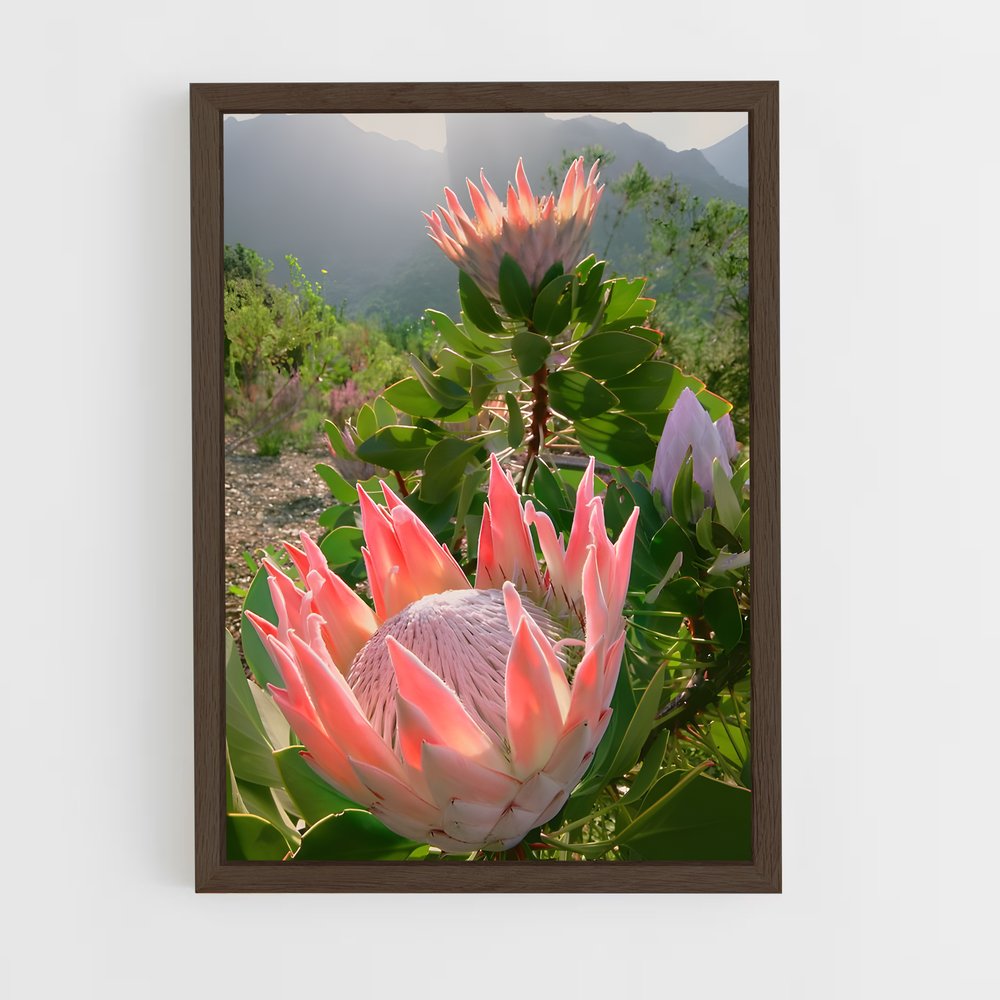 ap-protea-10 cadre Bois foncé