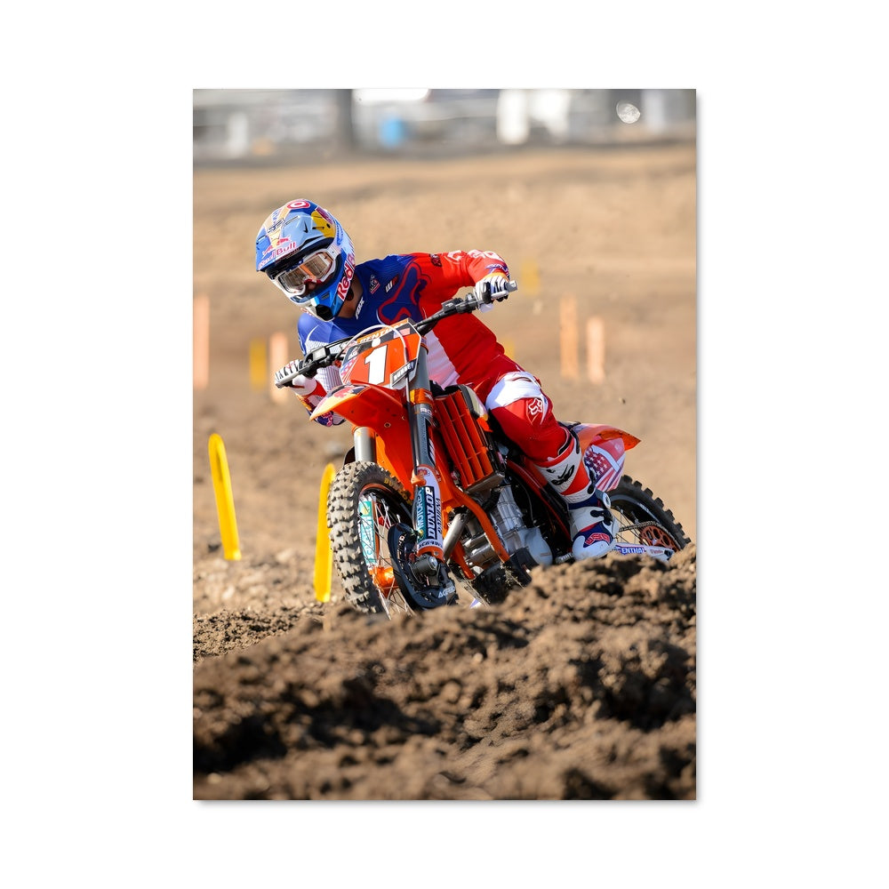 Poster Dirt Fury