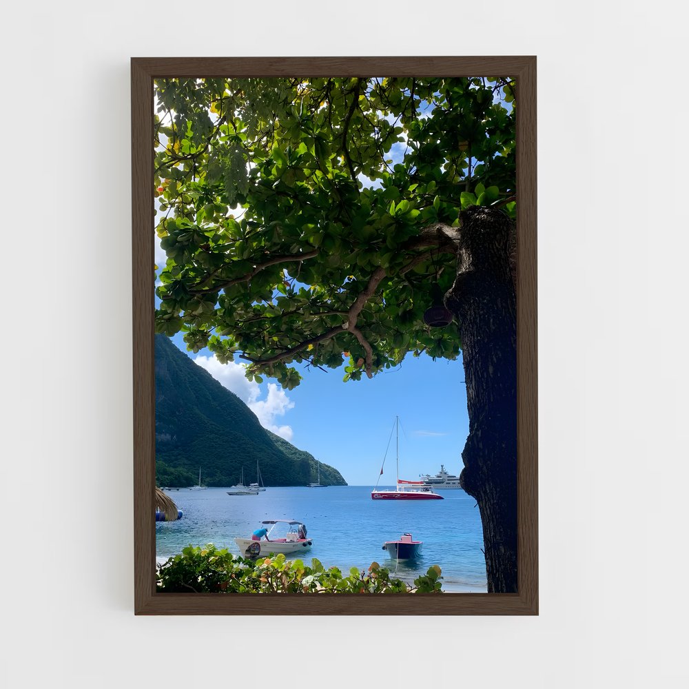 ap-saint lucia-1 cadre Bois foncé